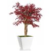 10951 umely strom maple robustina 90cm burgundy