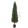 Umělý strom Podocarpus Cone (140cm)