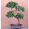 Umělá bonsai Podocarpus (65cm)