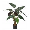 Alocasia Plant w pot 70 cm Green Red 5514GRD
