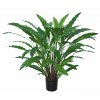 Calathea w pot 80 cm Green 5415GRN