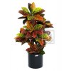 Umělá rostlina Croton (90cm)