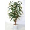 Bouganvillea Stylish 200 cm Light Pink V1066P05