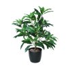 76816 mango bush 90 cm green 1069001