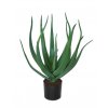 Aloe Vera w pot 60 cm Green 5429GRN (1)