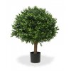 Boxwood Ball 40cm real