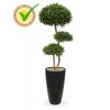 138614uv buxus ball x3 deluxe 140 rondo 40 zwart