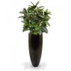 Umělý strom Ficus Elastica Robusta (90cm)