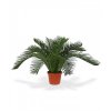 Umělá palma Cycas Baby (30cm)