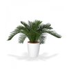 Umělá palma Cycas Baby (30cm)