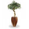 Umělá bonsai Shirakashi (100cm)