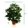 raam schefflera 50cm kunstplant 130105 6