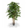 112312 ficus exotica deluxe 125 groen pp maat