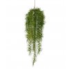 Umělá rostlina Asparagus Sprengeri (60cm)