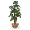 Umělá rostlina Monstera DeLuxe (180cm)