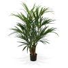 175114 kentia palm deluxe 140