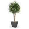 109418 longifolia ball deluxe 180 quadro 43 antraciet