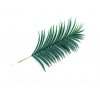 palmovy list Areca 100cm