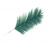 palmovy list Areca 110cm