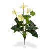 405104cr anthurium boeket 40 creme 1