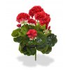 407404rd geranium boeket 40 rood