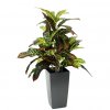 150205 croton kunstplant 50cm in cubico 14cm