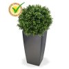 138205uv buxus ball 50 cubico 30 antraciet