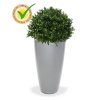 138204uv buxus ball 40 rondo 32 zilver