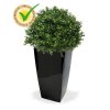 138204uv buxus ball 40 cubico 22 zwart