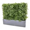130206uv schefflera heg argento balcony grey 80x20x20