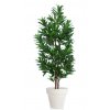 Croton California Tree 170 cm Green Yellow V1078002