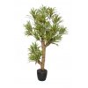 Dracaena Reflexa Plant 120 cm Variegated V4009A33