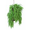 Fern Fabulosa Country Hanging 80 cm Green 5577000