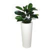 Umělá rostlina Fikus Elastica Bush (60cm)