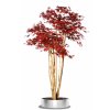 Maple Florida 240 cm Burgundy V1046B61