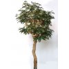 Myrsifolia Nidra Lux 320 cm Green 1068012