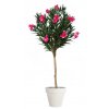 Oleander Globe 200 cm Pink V10779001