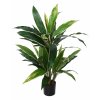 Cordyline Bush w pot 80 cm Green Yellow 5545GYE