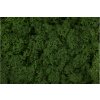 preserved lichenreindeer moss 25a