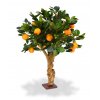 193006 sinaasappel bonsai 65 op voet