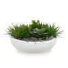 vetplanten arrangement in perth bowl shiny white 1