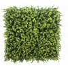 Buxus geel Kunsthaag2