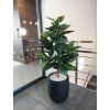 Umělý strom Ficus Elastica Robusta (120cm)