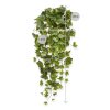 208006 hedera hanger 65 groen maat