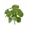 Umělá rostlina Pilea (25cm)