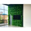 Vegetatie jungle grof jungle plantenwand