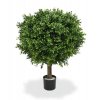 138205 buxus ball 50 pp