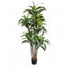 Umělá rostlina Dracena (170cm)
