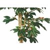 Coffee Florida Tree 150 cm Green V1077008a
