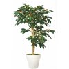 Coffee Florida Tree 150 cm Green V1077008